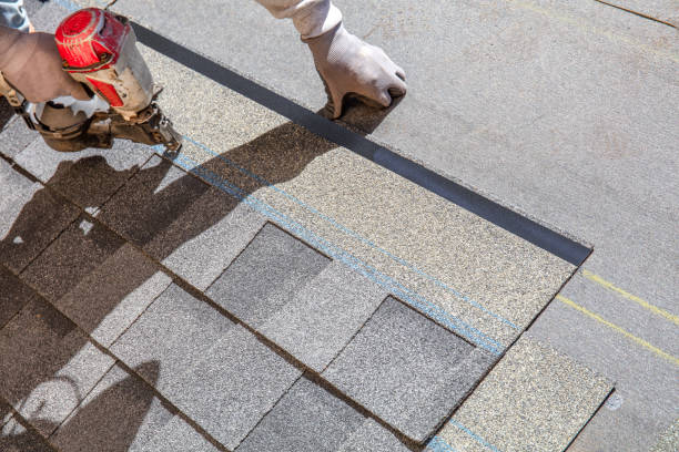 Quick and Trustworthy Emergency Roof Repair Services in Plant City, FL